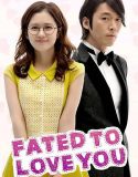 Nonton Serial Drakor Fated To Love You Subtitle Indonesia