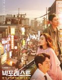 Nonton Drama Korea Big Forest 2018 Subtitle Indonesia