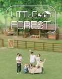 Nonton Drama Korea Little Forest 2019 Subtitle Indoneisa