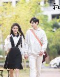Nonton Drama A Little Thing Called First Love 2019 Subtitle Indonesia