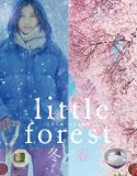 Nonton Movie Little Forest Winter Spring 2015 Subtitle Indonesia