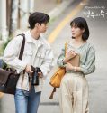Nonton Serial Drama Korea More Than Friends 2020 Subtitle Indonesia