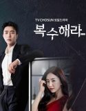 Nonton Serial Drama Korea The Goddess of Revenge 2020 Sub Indo