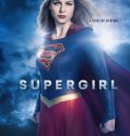 Nonton Serial Barat Supergirl Season 2 Subtitle Indonesia