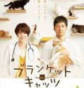 Nonton Serial Jepang Blanket Cats 2017 Subtitle Indonesia