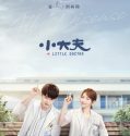 Nonton Serial Drama China Little Doctor 2020 Subtitle Indonesia