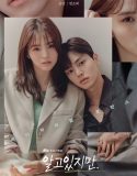 Nonton Serial Drama Korea Nevertheless 2021 Subtitle Indonesia