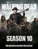 Nonton Serial The Walking Dead Season 10 Subtitle Indonesia