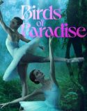 Nonton Film Birds of Paradise 2021 Subtitle Indonesia