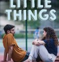 Nonton Serial  Drama Little Things S04 2021 Subtitle Indonesia