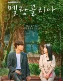 Nonton Serial Drama Korea Melancholia 2021 Subtitle Indonesia