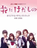 Nonton Serial Jepang Flower And The Beast S02 2019 Subtitle Indonesia