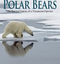 Nonton Film Polar Bear 2022 Subtitle Indonesia