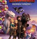 Nonton How To Train Your Dragon Homecoming 2019 Subtitle Indonesia