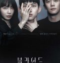 Nonton Serial Drama Korea Blind 2022 Subtitle Indonesia
