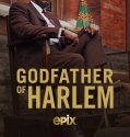 Nonton Serial Godfather of Harlem Season 1 (2019) Sub Indo