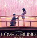 Nonton Serial Love Is Blind: Japan 2022 Subtitle Indonesia