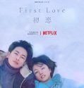 Nonton Serial First Love: Hatsukoi 2022 Subtitle Indonesia