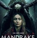 Nonton Mandrake 2022 Subtitle Indonesia