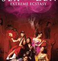 Nonton 3-D Sex and Zen: Extreme Ecstasy 2011 Sub Indo
