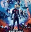 Nonton Film Ant-Man and the Wasp: Quantumania 2023 Sub Indo