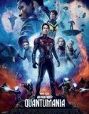 Nonton Film Ant-Man and the Wasp: Quantumania 2023 Sub Indo