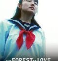 Nonton Serial The Forest of Love: Deep Cut  2020 Sub Indonesia