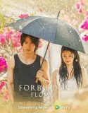 Nonton Serial The Forbidden Flower 2023 Subtitle Indonesia