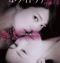 Nonton Film White Lily 2016 Subtitle Indonesia