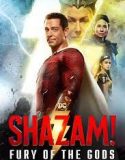 Nonton Film Shazam 2019 Subtitle Indonesia