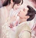 Nonton Serial Romance of a Twin Flower 2023 Subtitle Indonesia