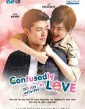 Nonton Serial Confusedly In Love (2017) Subtitle Indonesia