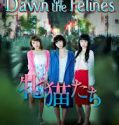 Nonton Film Dawn of the Felines (2017) Subtitle Indonesia