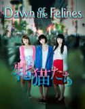 Nonton Film Dawn of the Felines (2017) Subtitle Indonesia