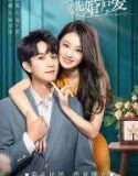 Nonton Serial Love Starts with Marriage S02 (2023) Sub Indo