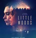 Nonton Film Little Woods (2019) Subtitle Indonesia