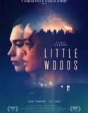 Nonton Film Little Woods (2019) Subtitle Indonesia
