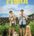 Nonton Film My Heart Puppy (2023) Subtitle Indonesia