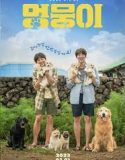 Nonton Film My Heart Puppy (2023) Subtitle Indonesia