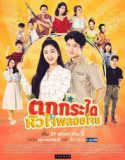 Nonton Serial Accidental Love (2019) Subtitle Indonesia