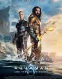 Nonton Film Aquaman and the Lost Kingdom (2023) Sub Indonesia