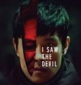 Nonton Film Korea I Saw the Devil Subtitle Indonesia