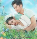 Nonton Serial Love in the Tea Garden (2024) Subtitle Indonesia